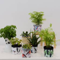 Robin Print Fabric Plant Pot - Waterproof Textile Storage Basket - thumbnail 3