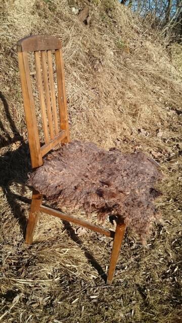 Felt Rug