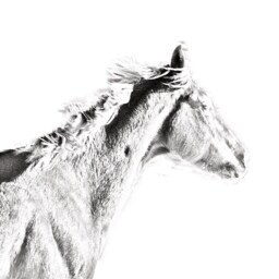 Thoroughbred - Wooden Stand For Candles/Pens With The Image Of A Horse New Collection - thumbnail 2