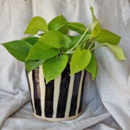 New Stripe Ceramic Planter, Handmade Glazed Pot, White Plant Large Black Vessel, Unique British Gift, Handcrafted Pots - thumbnail 2
