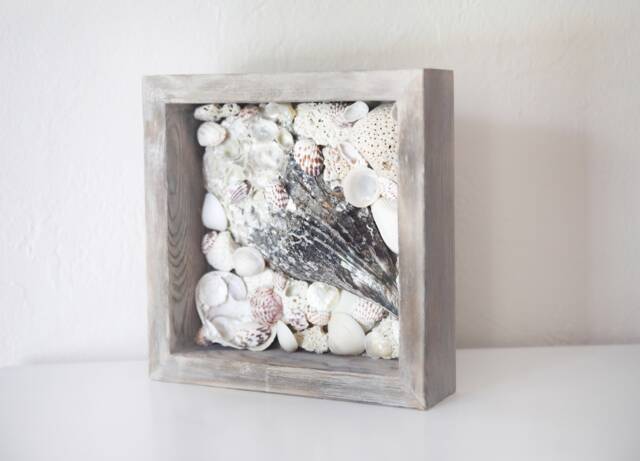 Beach Decor Shells From Gulf Of Mexico Driftwood Frame By Seastyle - image 1