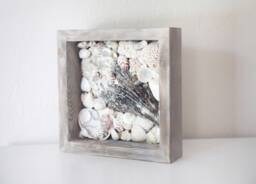 Beach Decor Shells From Gulf Of Mexico Driftwood Frame By Seastyle - thumbnail 1