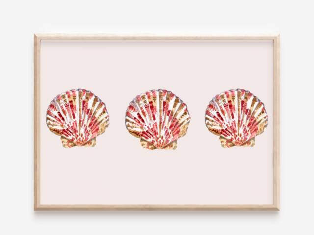 Girls Pretty Shell Print. Wall Art For Girls Mermiad, Ocean Or Themed Room, Nursery Playroom - Print Only - image 1