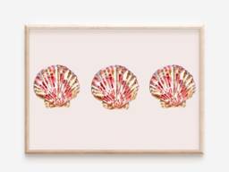 Girls Pretty Shell Print. Wall Art For Girls Mermiad, Ocean Or Themed Room, Nursery Playroom - Print Only - thumbnail 1