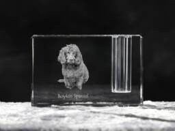 Boykin Spaniel, Crystal Pen Holder With Dog, Souvenir, Decoration, Limited Edition, Collection - thumbnail 1