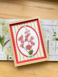 Flower & Paper Herbarium, Framed 18x24 cm, French Designer, Botanik Flower Farm, Organic Farming - thumbnail 1