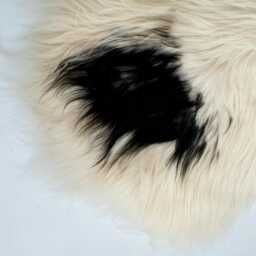 Black & Creamy White Sheepskin Rug - Luxurious Natural Wool Hide For Home D??cor- Leather Hub - thumbnail 3