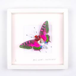 Framed Purple Butterfly Wall Art, Recycled Circuit Board Insect - thumbnail 1