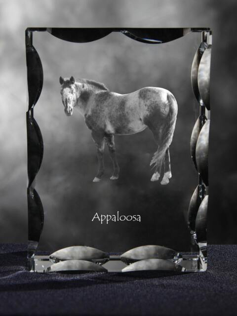 Appaloosa , Cubic Crystal With Horse, Souvenir, Decoration, Limited Edition, Collection - image 1