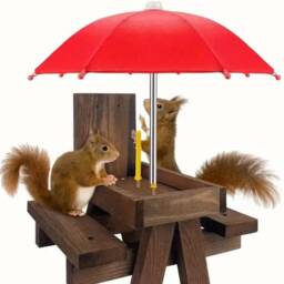 Squirrel Feeder Bench With Umbrella Christmas Gift For Granny Squirrels Garden Personalised Sign Mum - thumbnail 2