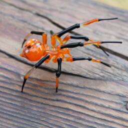 Glass Spider, Spider Blown Glass, Art Glass Figurines , Blown Figurine - thumbnail 3