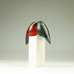 Duo Love Birds - 17 - thumbnail 2