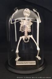 Primitive Earth Creature