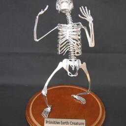 Primitive Earth Creature - thumbnail 4