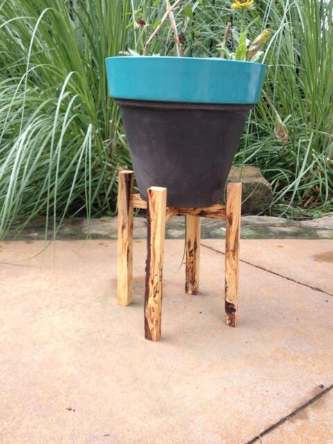 Spalted Solid Wood Plant Stand - Rustic-Mid Century Indoor Pot Planter Display Approx 1' X Oak & Bradford Pear Log Legs - image 1