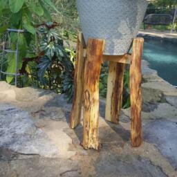 Spalted Solid Wood Plant Stand - Rustic-Mid Century Indoor Pot Planter Display Approx 1' X Oak & Bradford Pear Log Legs - thumbnail 3