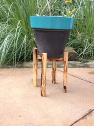 Spalted Solid Wood Plant Stand - Rustic-Mid Century Indoor Pot Planter Display Approx 1' X Oak & Bradford Pear Log Legs - thumbnail 1