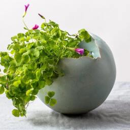 x-Large Sky Blue Ceramic Handmade Planter Pot, Extra Large Succulent Indoor Planter, Ball Shape Housewarming Gift - thumbnail 3
