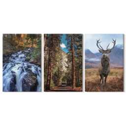 Canvas Set Of 3 Wall Art - Waterfall in The Forest, Mountains & Deer Nature, Brown Canvas, Landscapes Hanging Piece - thumbnail 2