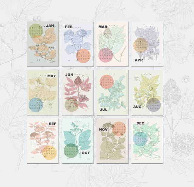 2026 Wall Calendar Refill, Botanical Gift, 2026, Gift For Her, Set Calendar, Your Home - image 1