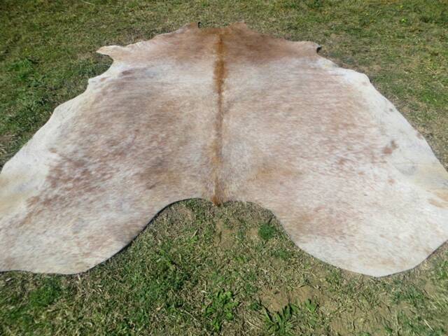 Beige Brown Tones Large New Cowhide Rug Natural Hair On - 6x6 Ft Size Approx Tri-Color Brown Tones Soft Carpet Cow Hide E-Bm - image 1