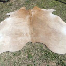 Beige Brown Tones Large New Cowhide Rug Natural Hair On - 6x6 Ft Size Approx Tri-Color Brown Tones Soft Carpet Cow Hide E-Bm - thumbnail 2