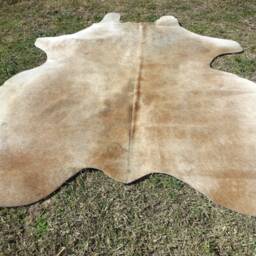 Beige Brown Tones Large New Cowhide Rug Natural Hair On - 6x6 Ft Size Approx Tri-Color Brown Tones Soft Carpet Cow Hide E-Bm - thumbnail 4