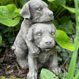 Pair Of Puppies Stone Garden Statue - Reconstituted Outdoor Dog Animal Ornament - thumbnail 3