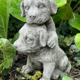 Pair Of Puppies Stone Garden Statue - Reconstituted Outdoor Dog Animal Ornament - thumbnail 2