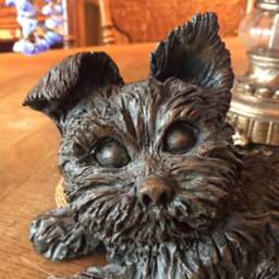 Yorkie Puppy - thumbnail 3