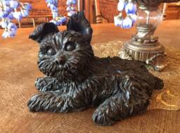 Yorkie Puppy - thumbnail 1