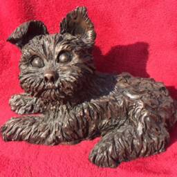 Yorkie Puppy - thumbnail 4