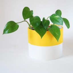 Colour Pop Indoor Plant Pots - Jesmonite Planter - thumbnail 1