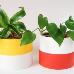 Colour Pop Indoor Plant Pots - Jesmonite Planter - thumbnail 3