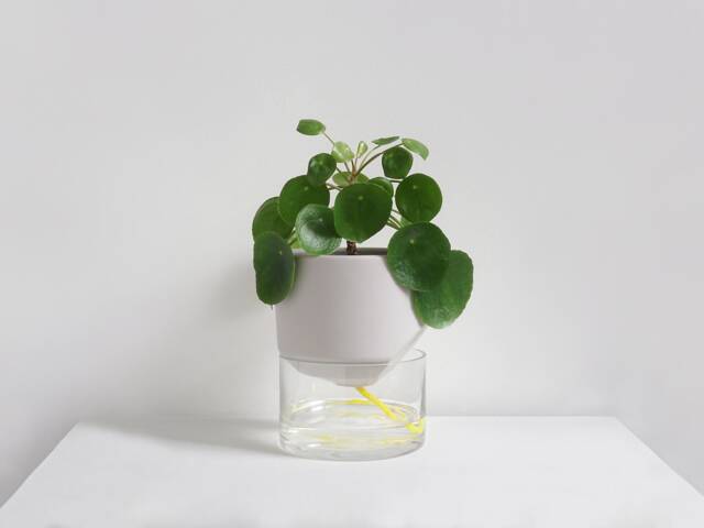 Kapi Small - Pebble - image 1