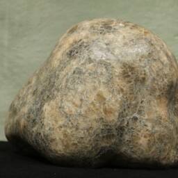 "Sculpture ""Head Of A Woman" - thumbnail 2