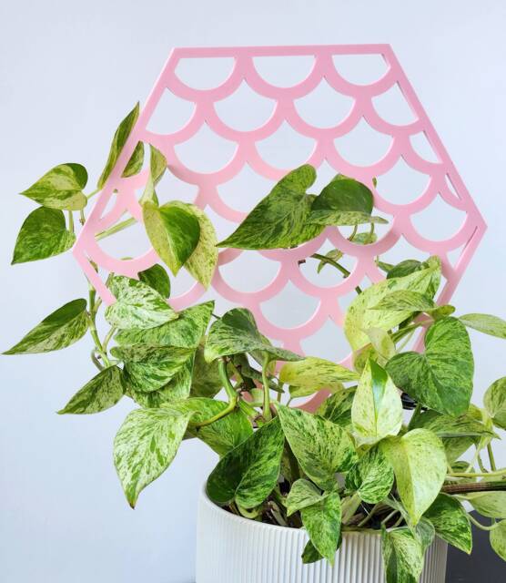 Mermaid Scale Plant Trellis Pink Hoya Hoop, 3D Printed - image 1