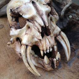 Skull Mask Conan Barbarian Style Helmet, Larp Cosplay Armor - thumbnail 4