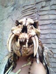 Skull Mask Conan Barbarian Style Helmet, Larp Cosplay Armor - thumbnail 2