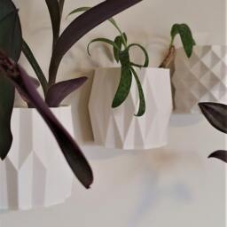 Set Of 3 Wall Planters, Mounted Plant Pot For Indoor Vertical Garden - thumbnail 3