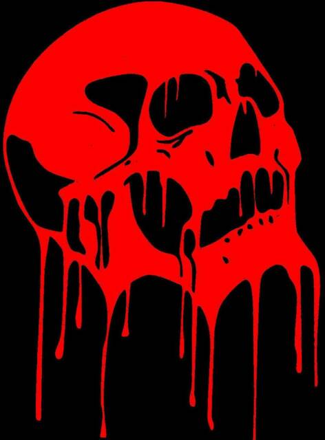 Blood Bloody Skull Car Bonnet Side Sticker Van Vinyl Graphic Decal Sign Wall Art Door Motorhome Campervan Racing Rally Stock