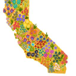 California Wildflower Art Print Colorful State Blooms - 8x10 - thumbnail 4