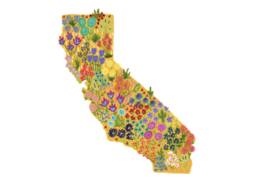 California Wildflower Art Print Colorful State Blooms - 8x10 - thumbnail 1