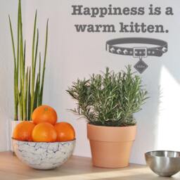 Happiness Is A Warm Kitten - Vinyl Decal Wall Quote - thumbnail 3