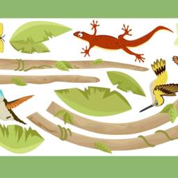 "Wall Sticker ""Lianen Xl I. Short" - thumbnail 2