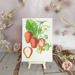 Vintage Strawberry Illustration Print Home Decor Fruit Berries Spring Summer Art - thumbnail 3