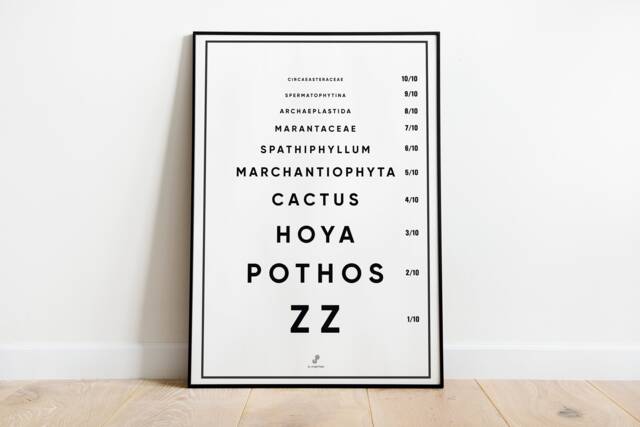 Vision Test - For Plant Addict - Poster A3/A4 Poster, Plant Illustration, Botany, Plants, Art, Print, Poster, Jungle Paper