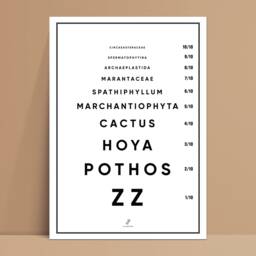 Vision Test - For Plant Addict - Poster A3/A4 Poster, Plant Illustration, Botany, Plants, Art, Print, Poster, Jungle Paper - thumbnail 3