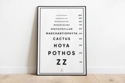 Vision Test - For Plant Addict - Poster A3/A4 Poster, Plant Illustration, Botany, Plants, Art, Print, Poster, Jungle Paper - thumbnail 1