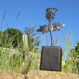 Hand Forged Thistle Sculpture, Handmade By Scottish Blacksmith - thumbnail 3